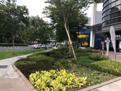 Alexandra Central (D3), Retail #445891641